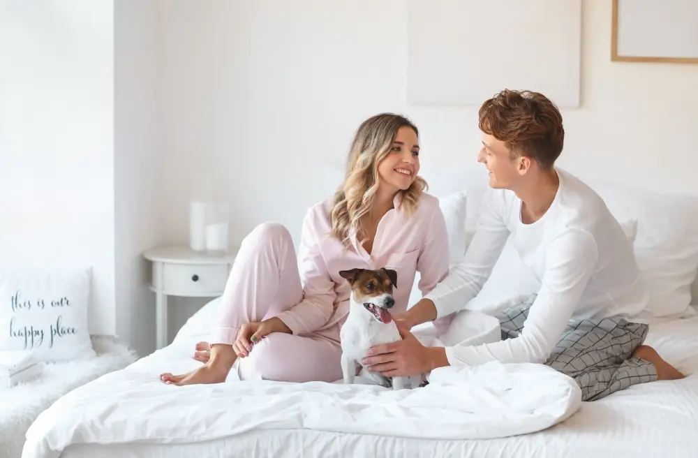 StockSnap_TBIPLGXAY9